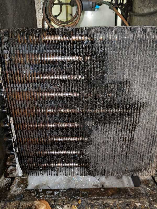 Cleaning process of a fridge's coil.